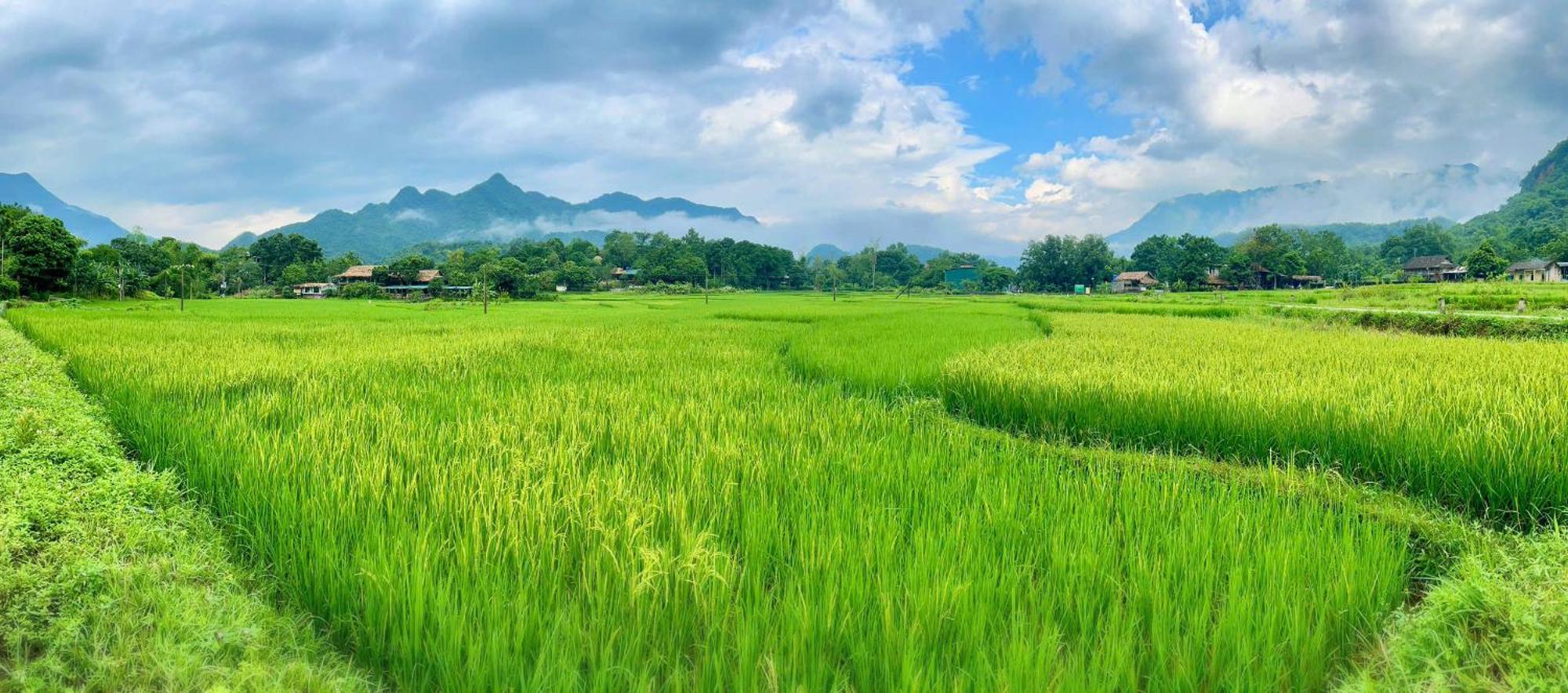 Mai Chau Sky Resort Екстер'єр фото